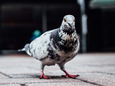 Image-16-09-18-18-1080x1070