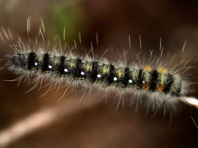 Image-40-09-19-18-1205x800